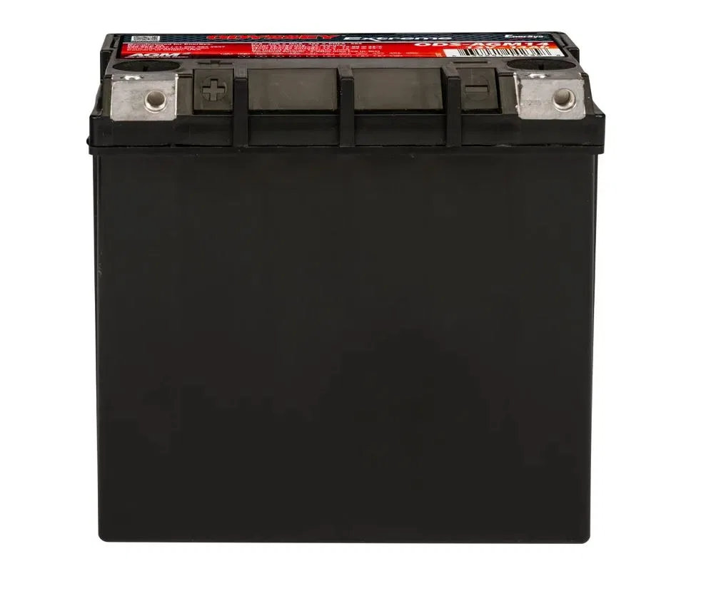 ODS-AGM14 – ODYSSEY Battery, AGM Absorbed Glass Mat 12 Volt 220 Cold Cranking Amps M6 Threaded Receptacle Top Termina...